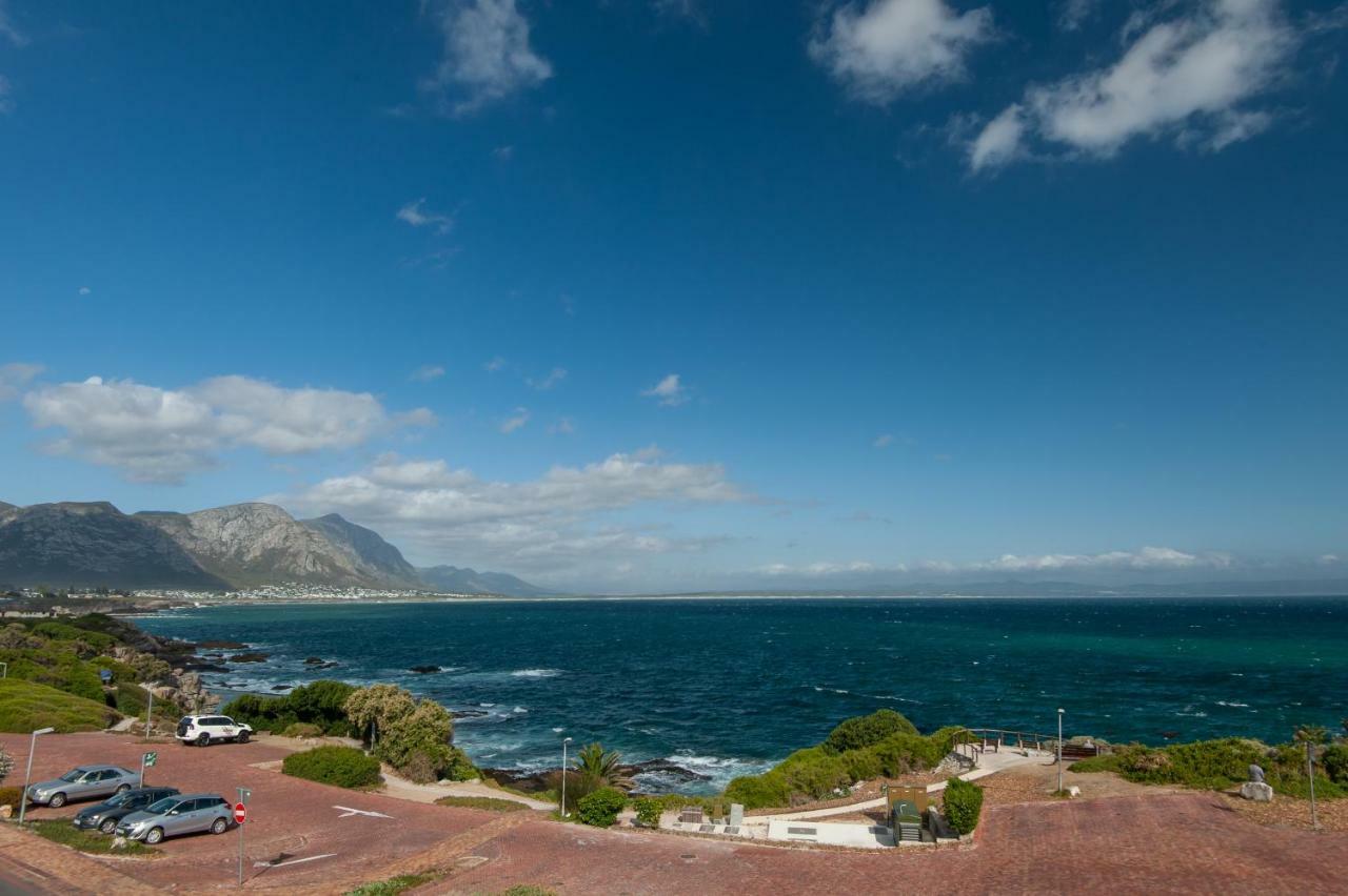 The Sun, Whales & Waves - Seafront Apartment Hermanus Kültér fotó